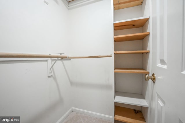 spacious closet with light carpet