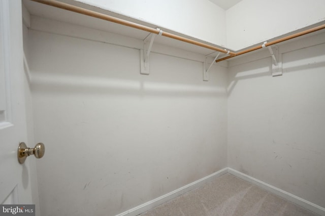 spacious closet with carpet flooring