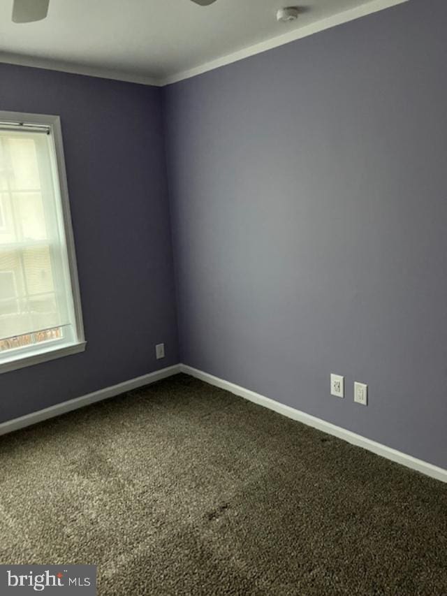 empty room featuring carpet flooring and crown molding