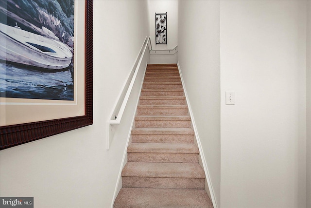 staircase with carpet flooring