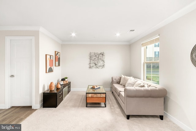 living room featuring ornamental molding