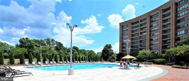 view of pool featuring a patio area