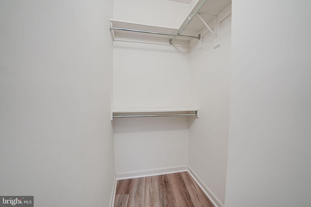 spacious closet with hardwood / wood-style flooring