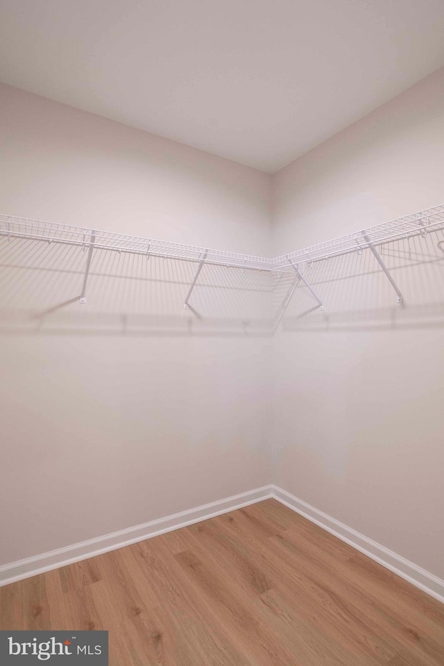 spacious closet featuring wood-type flooring