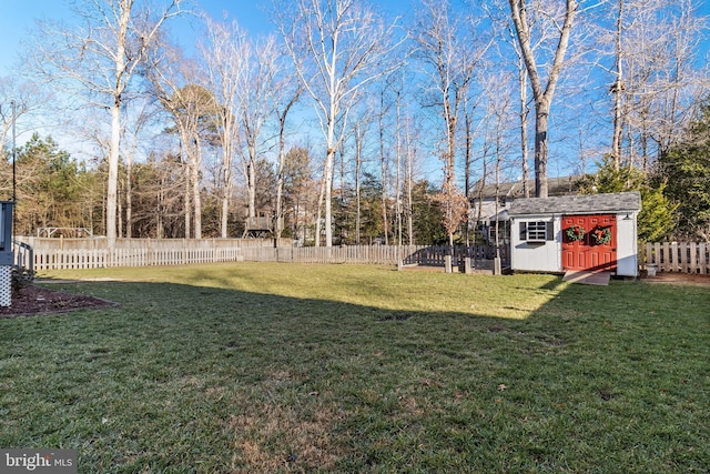 view of yard with a shed