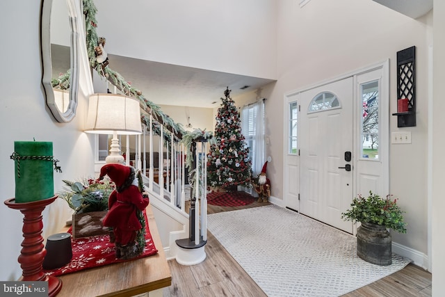 foyer entrance featuring hardwood / wood-style flooring