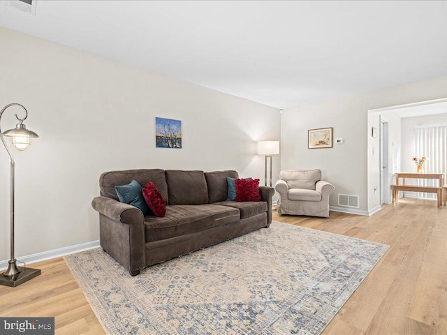 living room with wood-type flooring