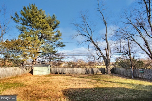 view of yard featuring a shed