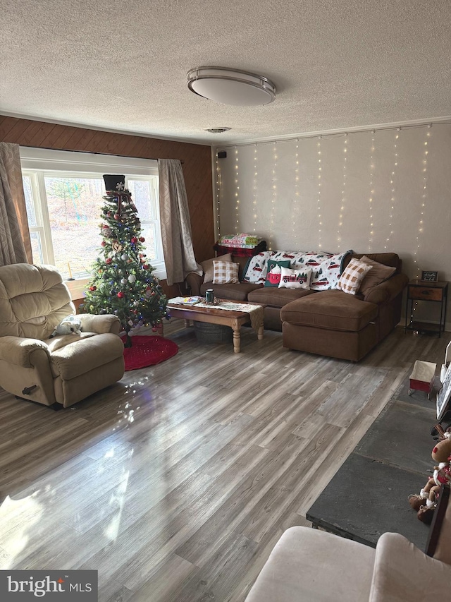 living room featuring hardwood / wood-style flooring and a textured ceiling