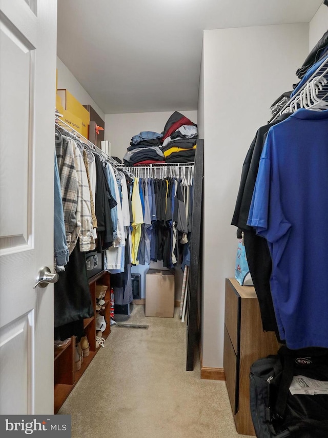 walk in closet with carpet