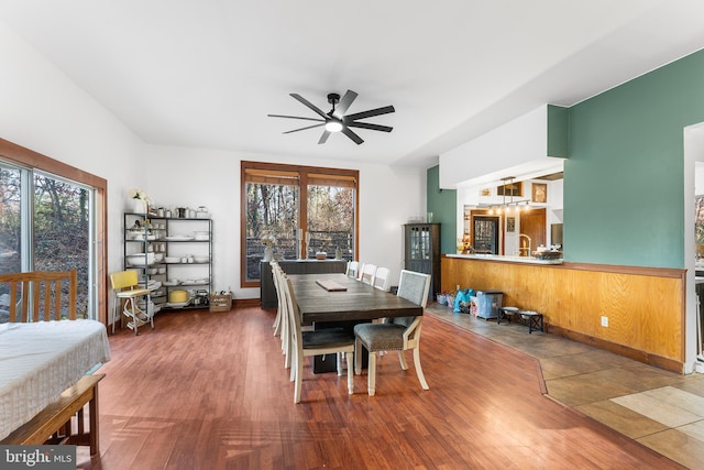 dining space with ceiling fan, dark hardwood / wood-style flooring, and a wealth of natural light