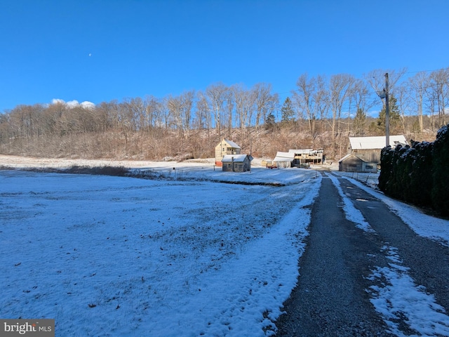 view of yard layered in snow