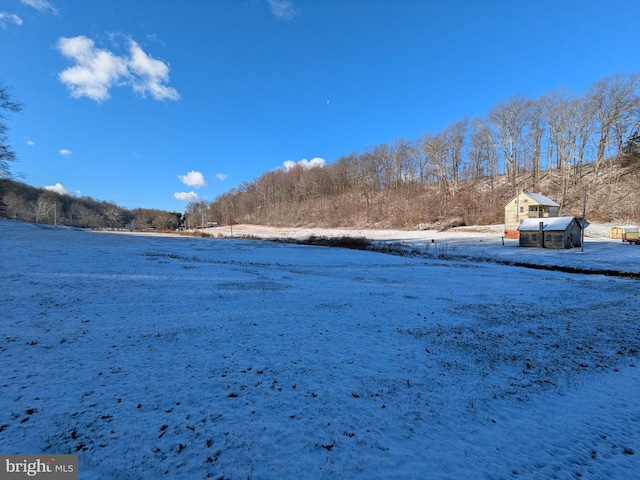 view of snowy yard