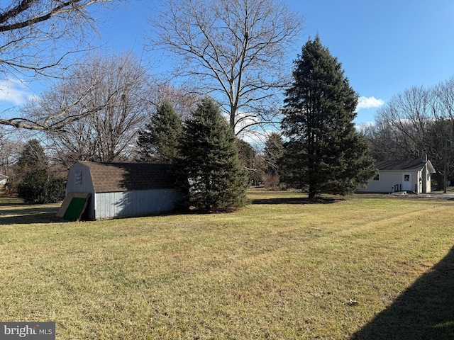 view of yard with a storage shed