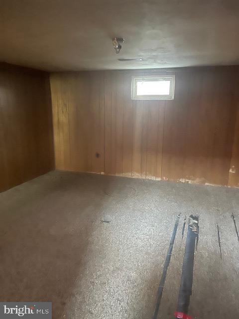 basement with wood walls