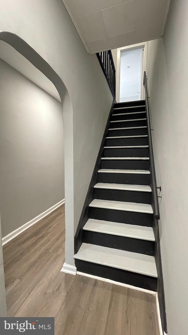 staircase with hardwood / wood-style flooring