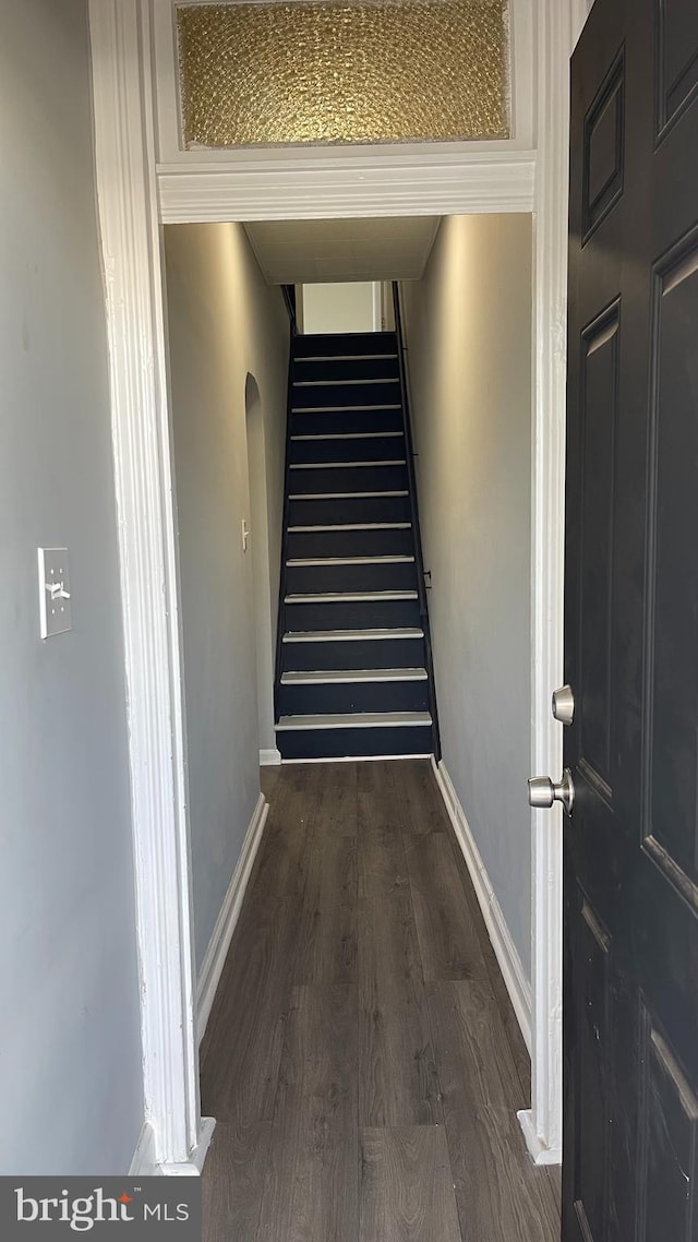 stairs featuring wood-type flooring