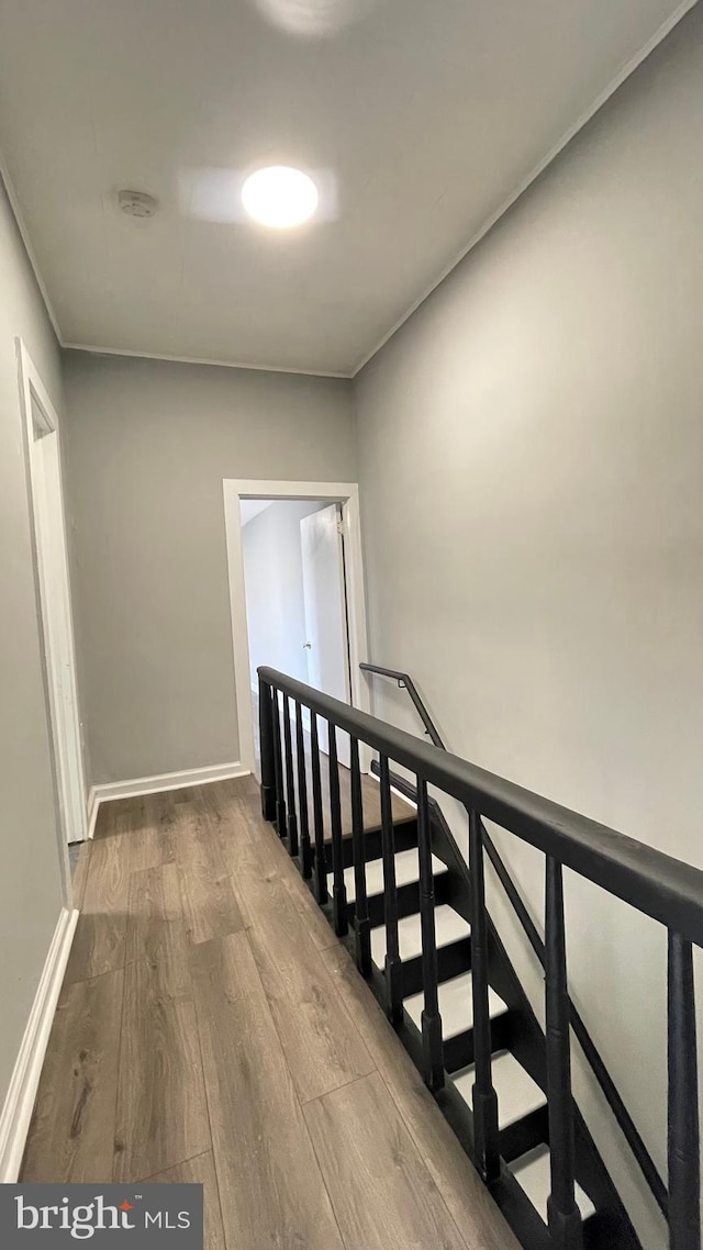 hallway featuring hardwood / wood-style floors