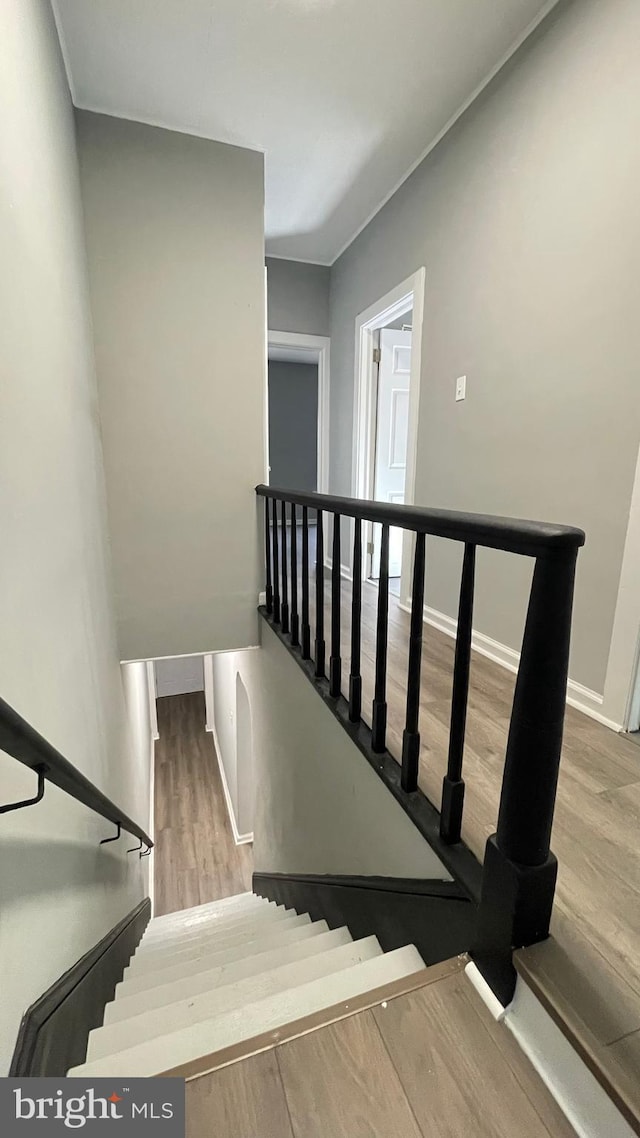 stairs with hardwood / wood-style floors