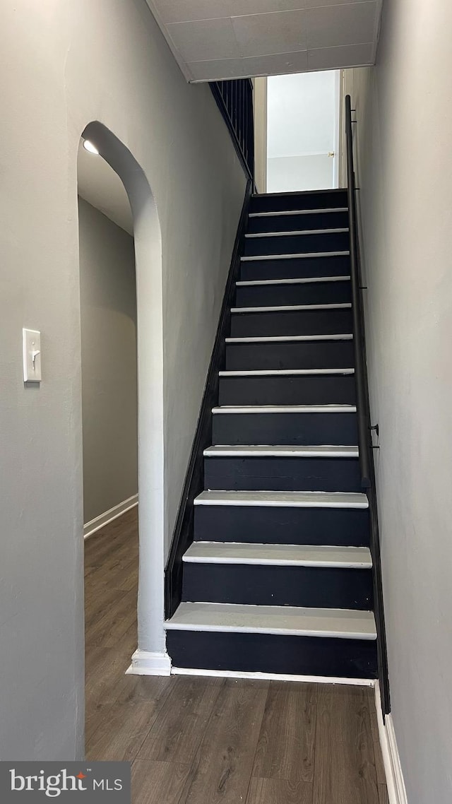 staircase with wood-type flooring