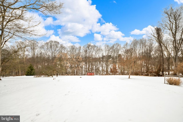 view of yard layered in snow