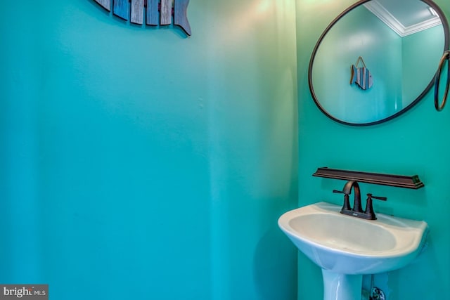 bathroom with sink and ornamental molding