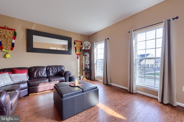 living room featuring wood-type flooring