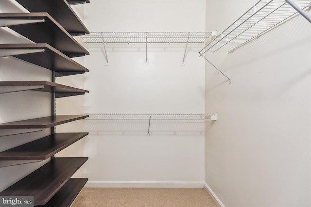 spacious closet with light carpet