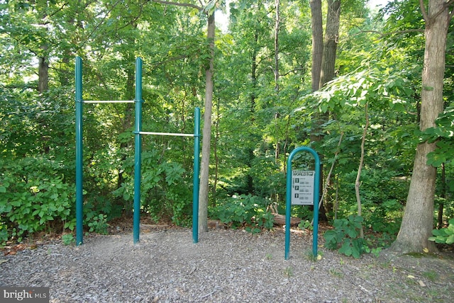 view of jungle gym