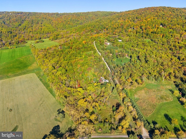 19701 Forest Hill Ln, Bluemont VA, 20135 land for sale