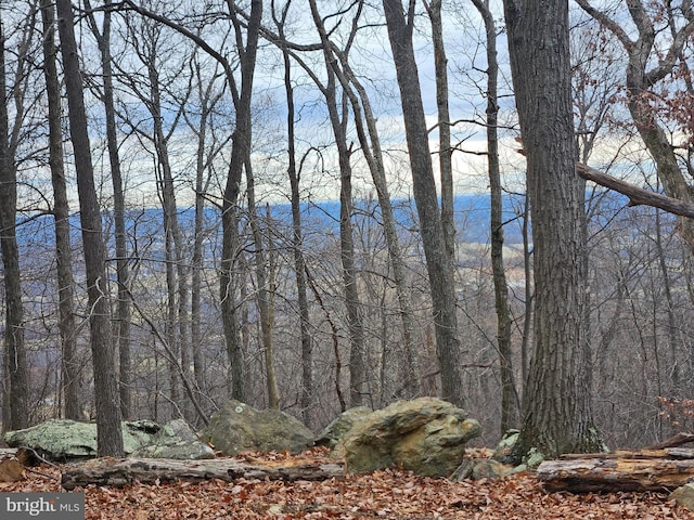 Listing photo 2 for 19701 Forest Hill Ln, Bluemont VA 20135