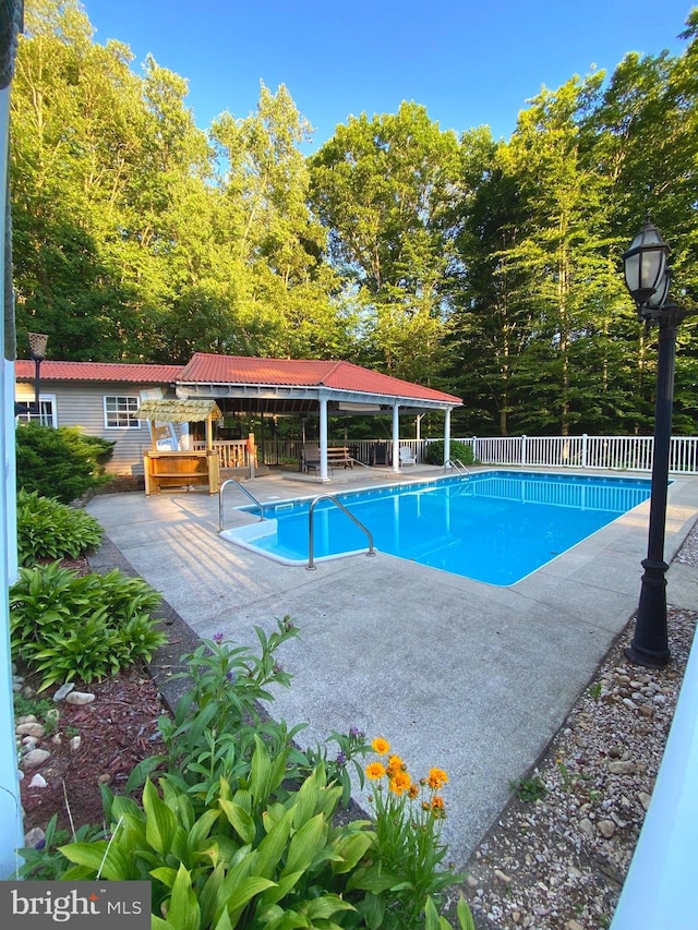 view of pool with a patio area