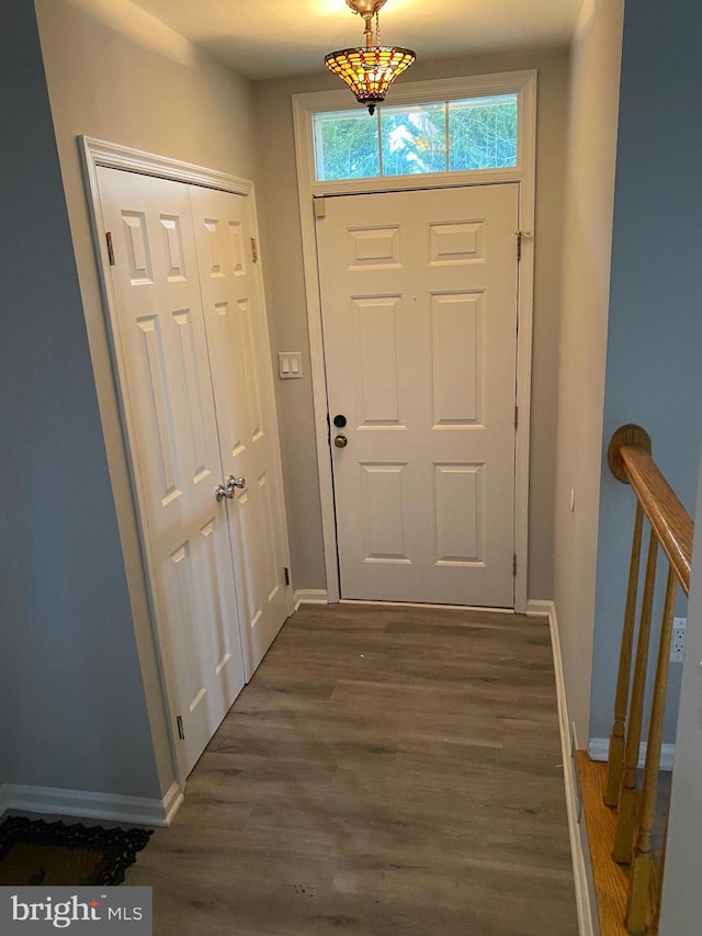 entryway with dark hardwood / wood-style floors