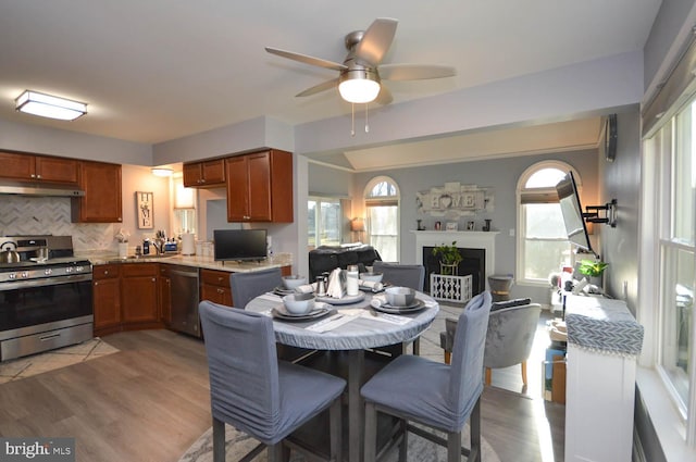 dining area featuring ceiling fan, a healthy amount of sunlight, and light wood-type flooring