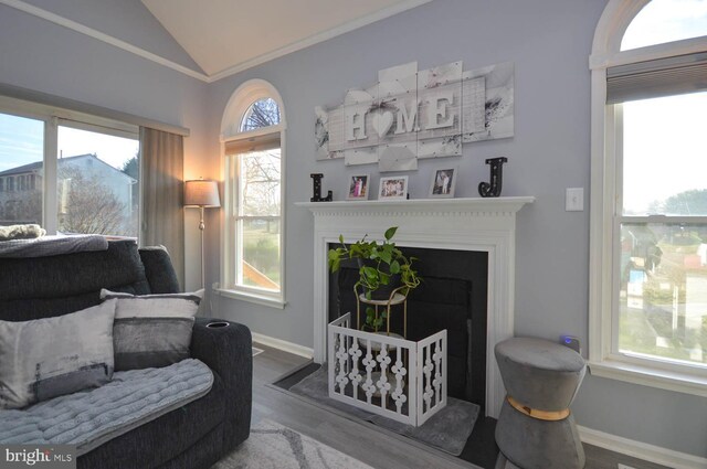 living room with wood-type flooring and vaulted ceiling