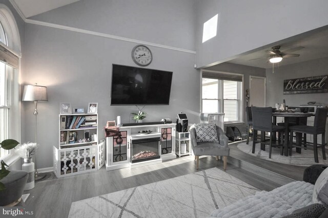 living room with ceiling fan, wood-type flooring, crown molding, and a high ceiling