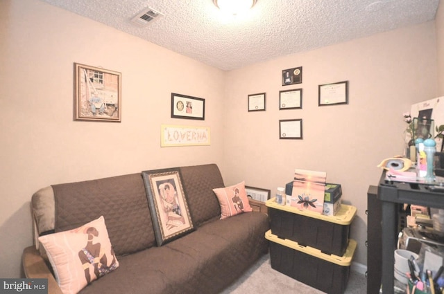 interior space with carpet floors and a textured ceiling