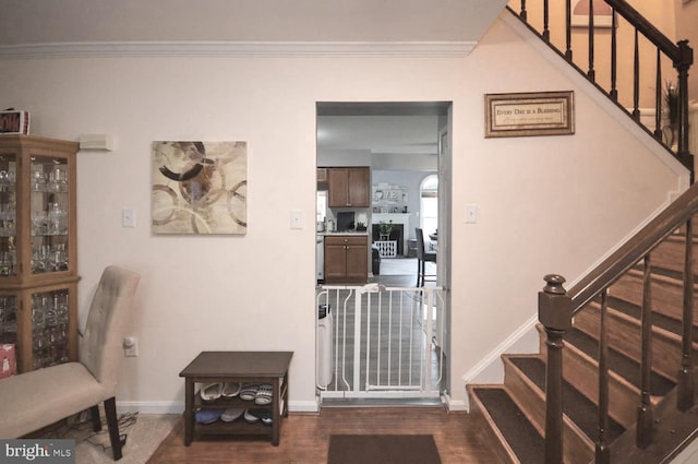 foyer entrance with dark hardwood / wood-style flooring and ornamental molding