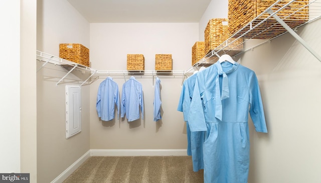 spacious closet featuring carpet flooring