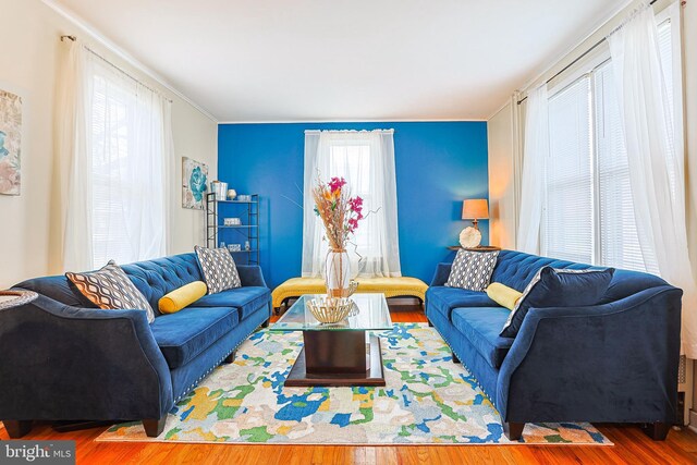 living room with hardwood / wood-style flooring