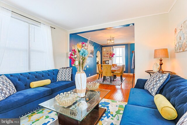 living room with hardwood / wood-style flooring and crown molding