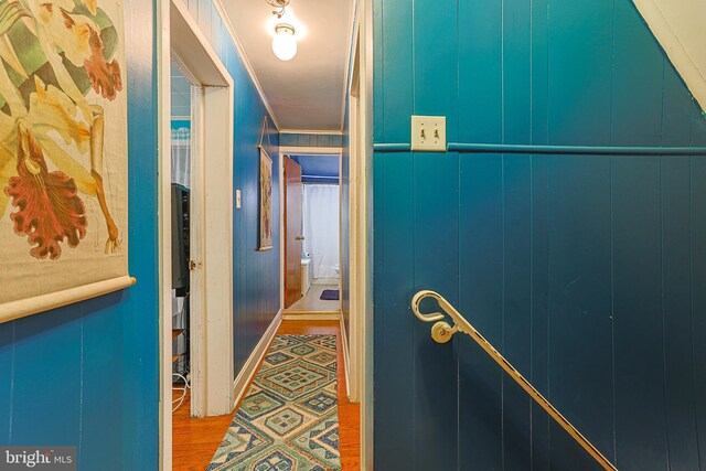 hall featuring hardwood / wood-style flooring and crown molding