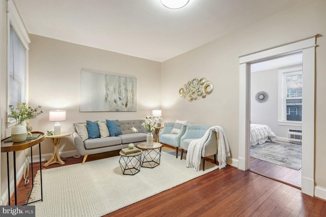 living room with wood-type flooring