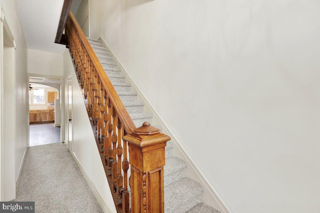 stairs featuring carpet floors