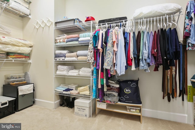 walk in closet with light colored carpet