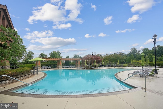 view of pool with a patio