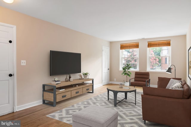 living room with hardwood / wood-style floors