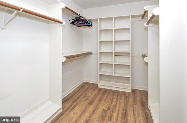 spacious closet with hardwood / wood-style floors