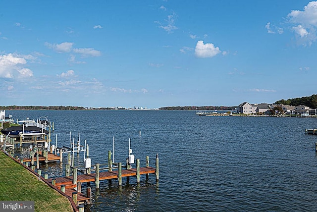 dock area featuring a water view