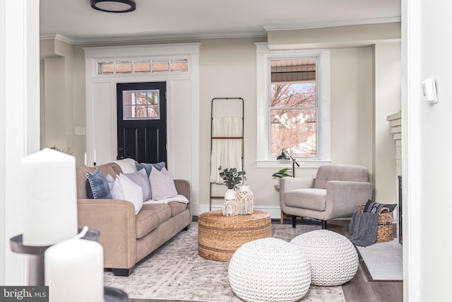 living room with light hardwood / wood-style flooring and ornamental molding